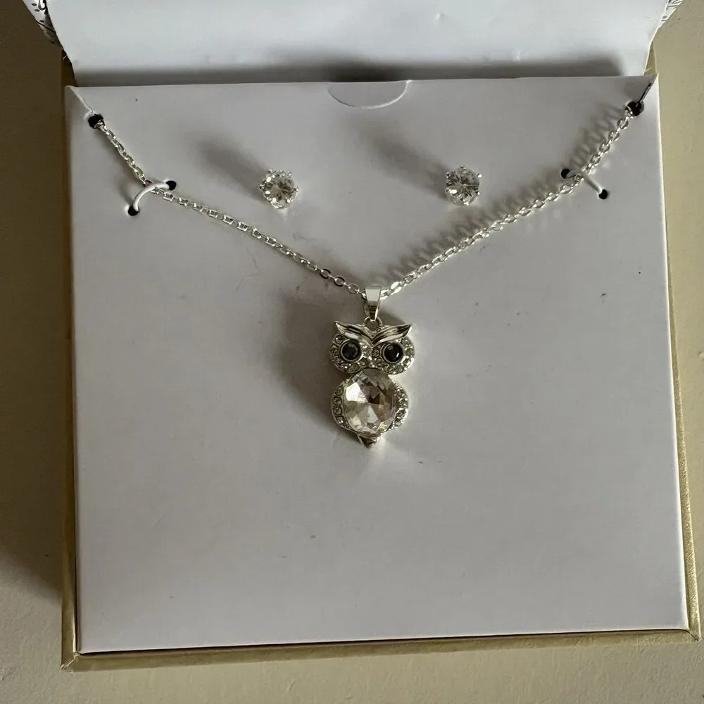 New Charter Club Owl Necklace And Earring Set Silver Color - Picture 1 of 3